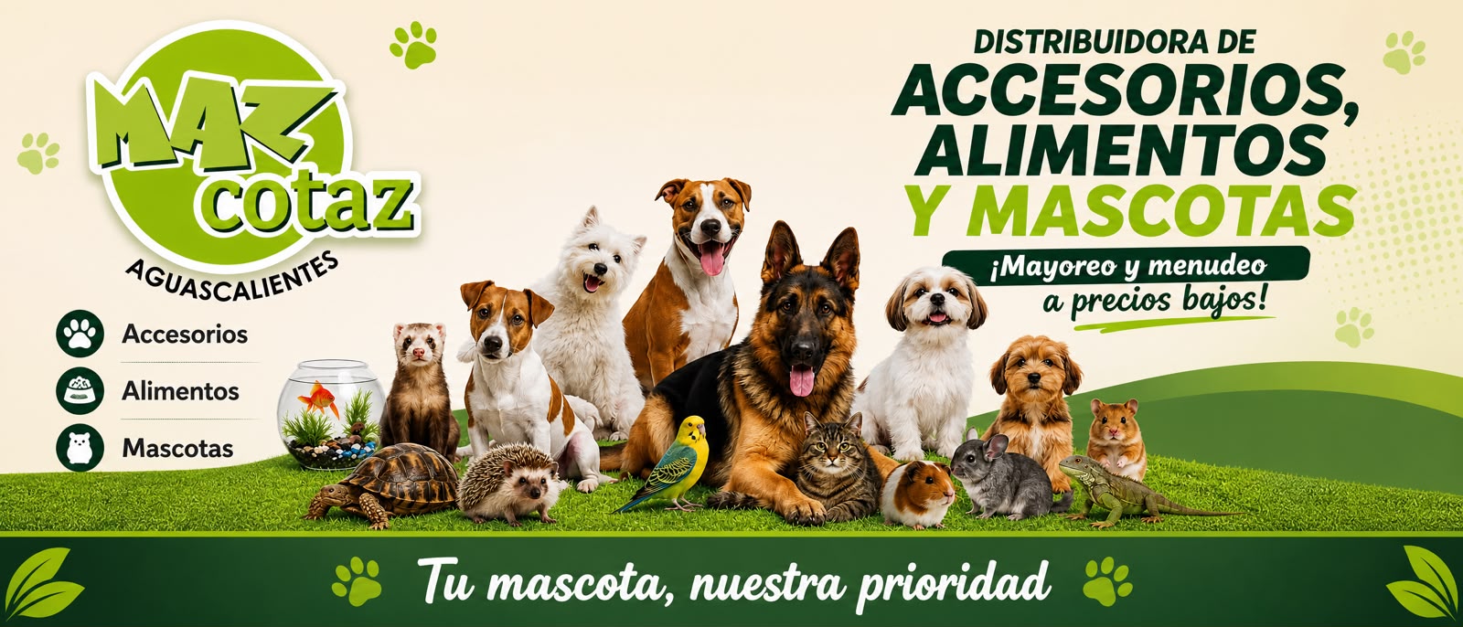 MAZCOTAZ