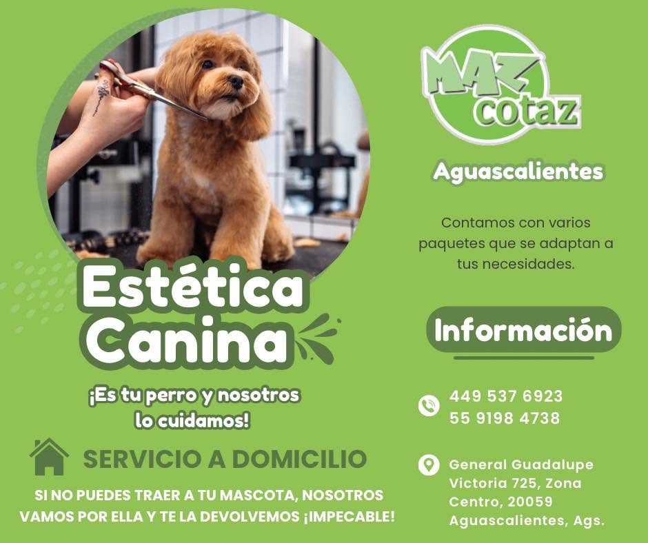 MAZCOTAZ